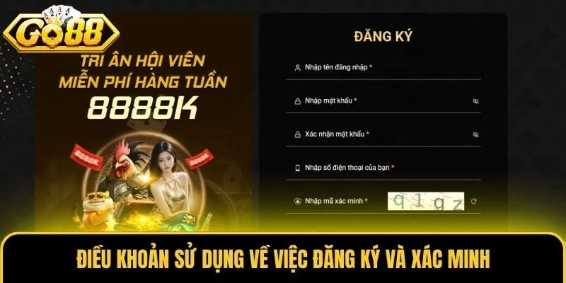 Điều khoản sử dụng về việc đăng ký và xác minh